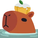 PEAK_Capybara
