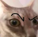 4376_sniffs_balls
