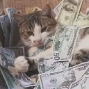 rich_car