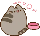 0_PusheenHungry
