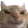 kit_hehe kit_hehe