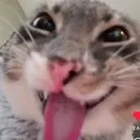 emoji_48