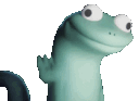 Lizard