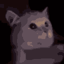 :catahhh: