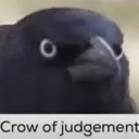 crow