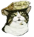 catwich