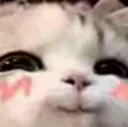 aa