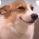 SUS