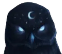 z_1nightowls