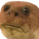 da42c36050c950ffprofile_image300