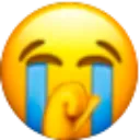 sob sob