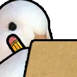 duck_notes