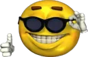 Sunglasses