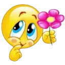 flowersforyou