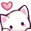 kitty