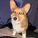 Hey