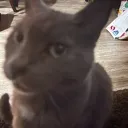 uhh