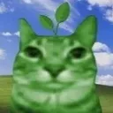 catto