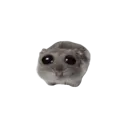 sad_hampter sad_hampter