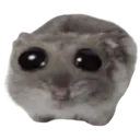 sadhampter