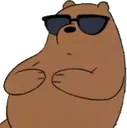cool_grizz