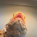 raaaaaaahhhhhhhhhh