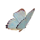 00_4