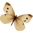 026