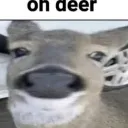 shs_oh_deer