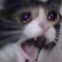 cryingcat Discord sticker from 𝐌𝐨𝐨𝐧 𝐜𝐡𝐢𝐥𝐥 𝐜𝐥𝐮𝐛