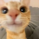 emoji_12 Discord Emoji | 𝐌𝐨𝐨𝐧 𝐜𝐡𝐢𝐥𝐥 𝐜𝐥𝐮𝐛