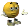 what_you_want_twin