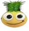 pineapple