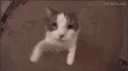 emoji_74