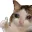 emoji_76