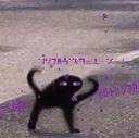 4456 4456