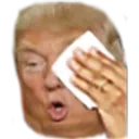 TrumpSweat