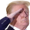 TrumpSalute