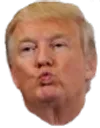 TrumpKiss