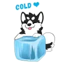 husky_ice