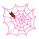 dd_halloweenwebpink