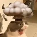 explodecat