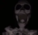 skeletonspin skeletonspin