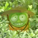 Hal_lurk Hal_lurk