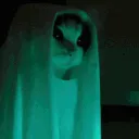 catNyun