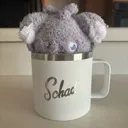 Bleh