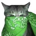 gansta_cat