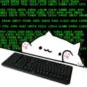 coding