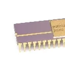 amd amd