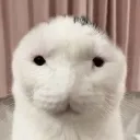 67